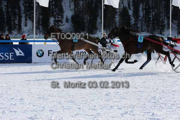ET0Q0921 prot